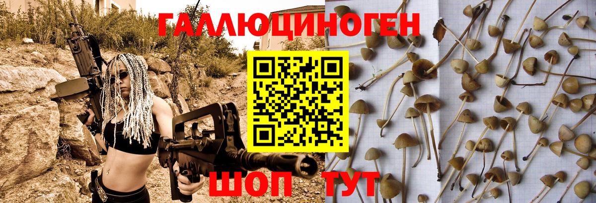 Чапаевск  Галлюциногенные грибы GOLDEN TEACHER  Псилоцибиновые грибы Psilocybine cubensis  Вход с VPN 